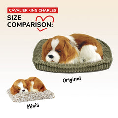 Perfect Petzzz mini Cavalier King Charles hassle-free companion for seniors and kids.