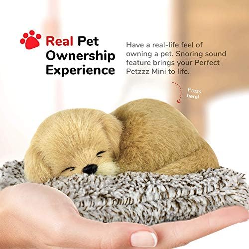Soft synthetic fur texture highlights Perfect Petzzz allergy-friendly design.