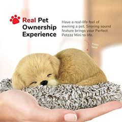 Soft synthetic fur texture highlights Perfect Petzzz allergy-friendly design.