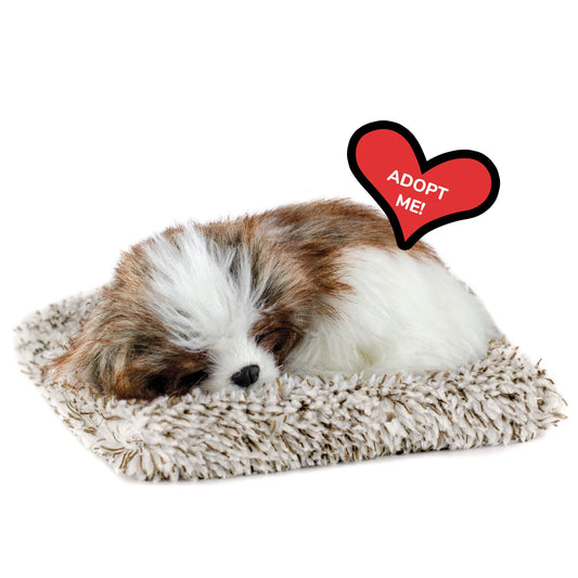 Perfect Petzzz mini Shih Tzu resting on a bed, a cozy cuddle companion.