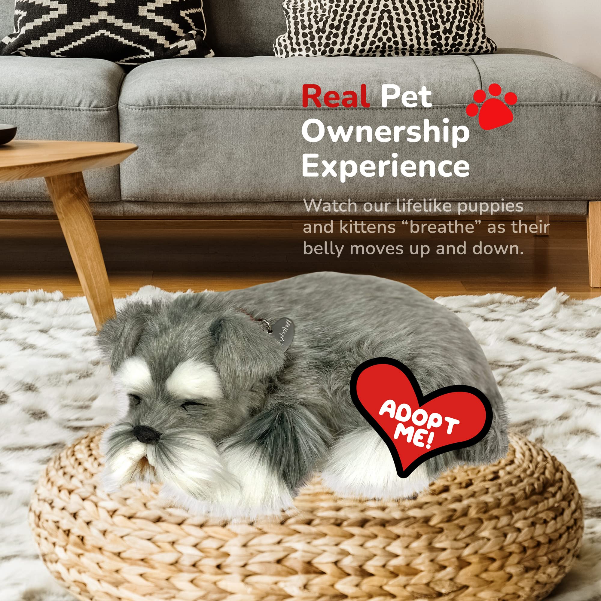 Perfect Petzzz Schnauzer interaction mode enables gentle, battery-powered play at home.