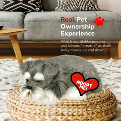 Perfect Petzzz Schnauzer interaction mode enables gentle, battery-powered play at home.