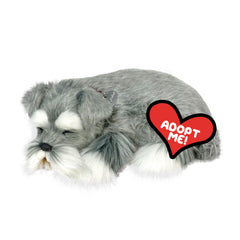 Perfect Petzzz Schnauzer ready to hug offers soothing companionship without real care.