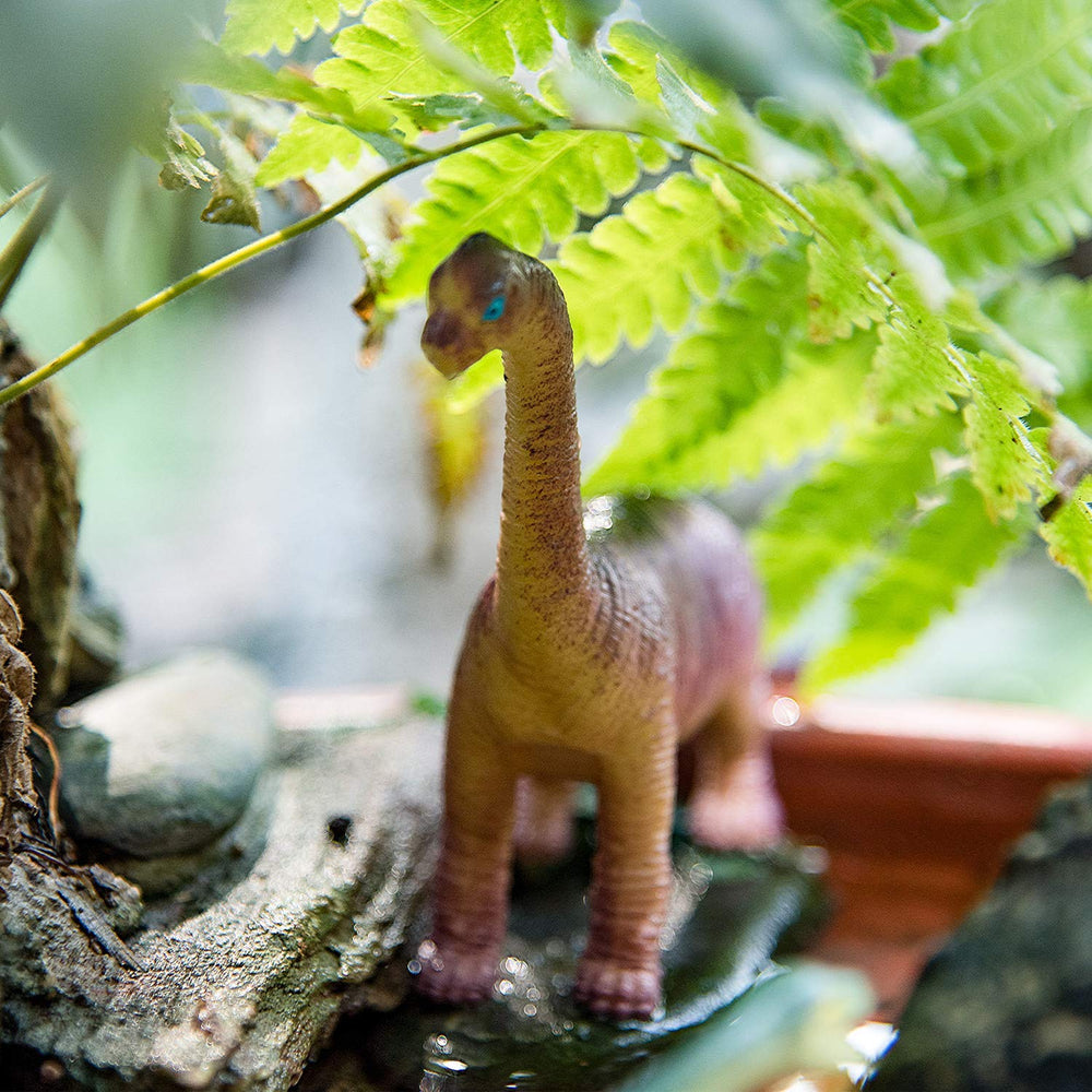 Peruser educational book included with dinosaurs boosts context and learning.