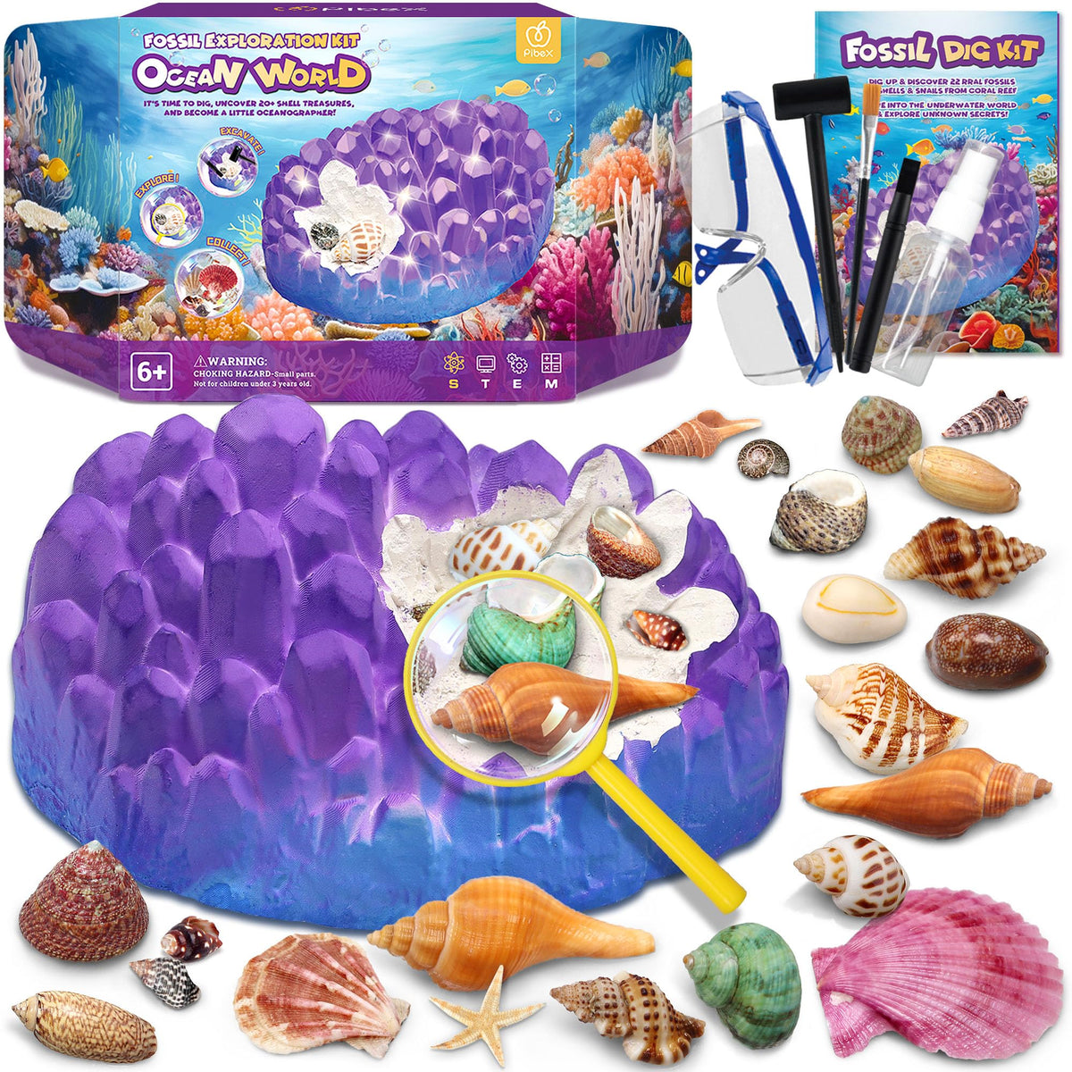 PIBEX Ocean Fossil Dig Kit coral dig brick invites hands-on marine science exploration.
