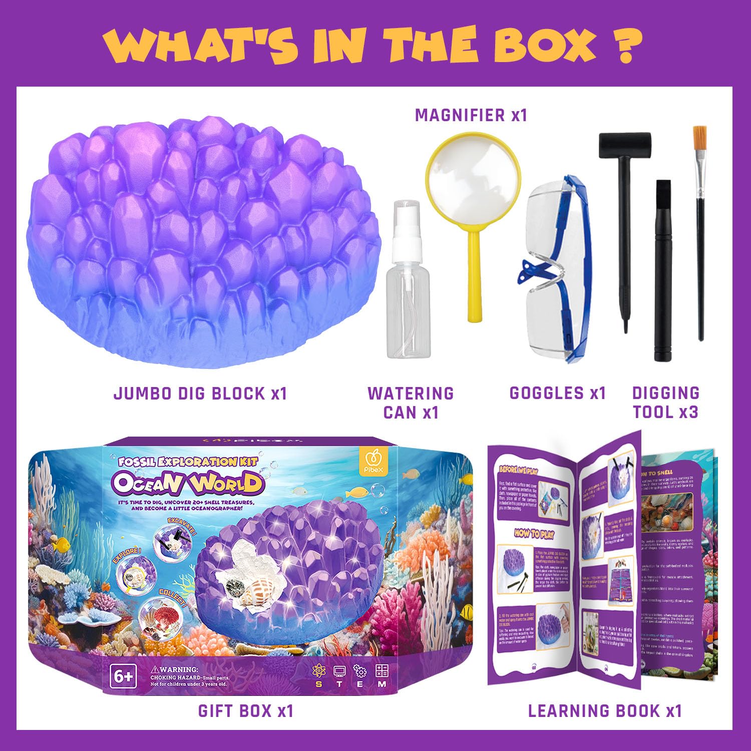 PIBEX Ocean Fossil Dig Kit family activity promotes collaborative learning at home.