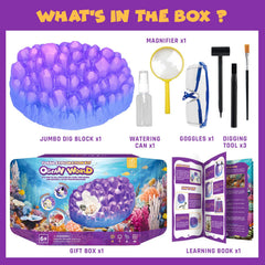 PIBEX Ocean Fossil Dig Kit family activity promotes collaborative learning at home.
