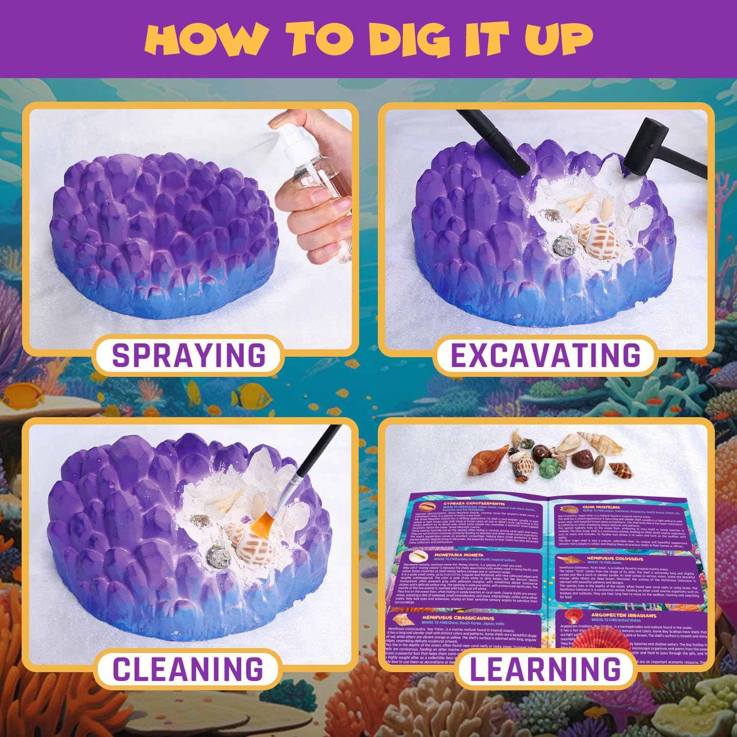 PIBEX Ocean Fossil Dig Kit gift-ready packaging makes a thoughtful present.