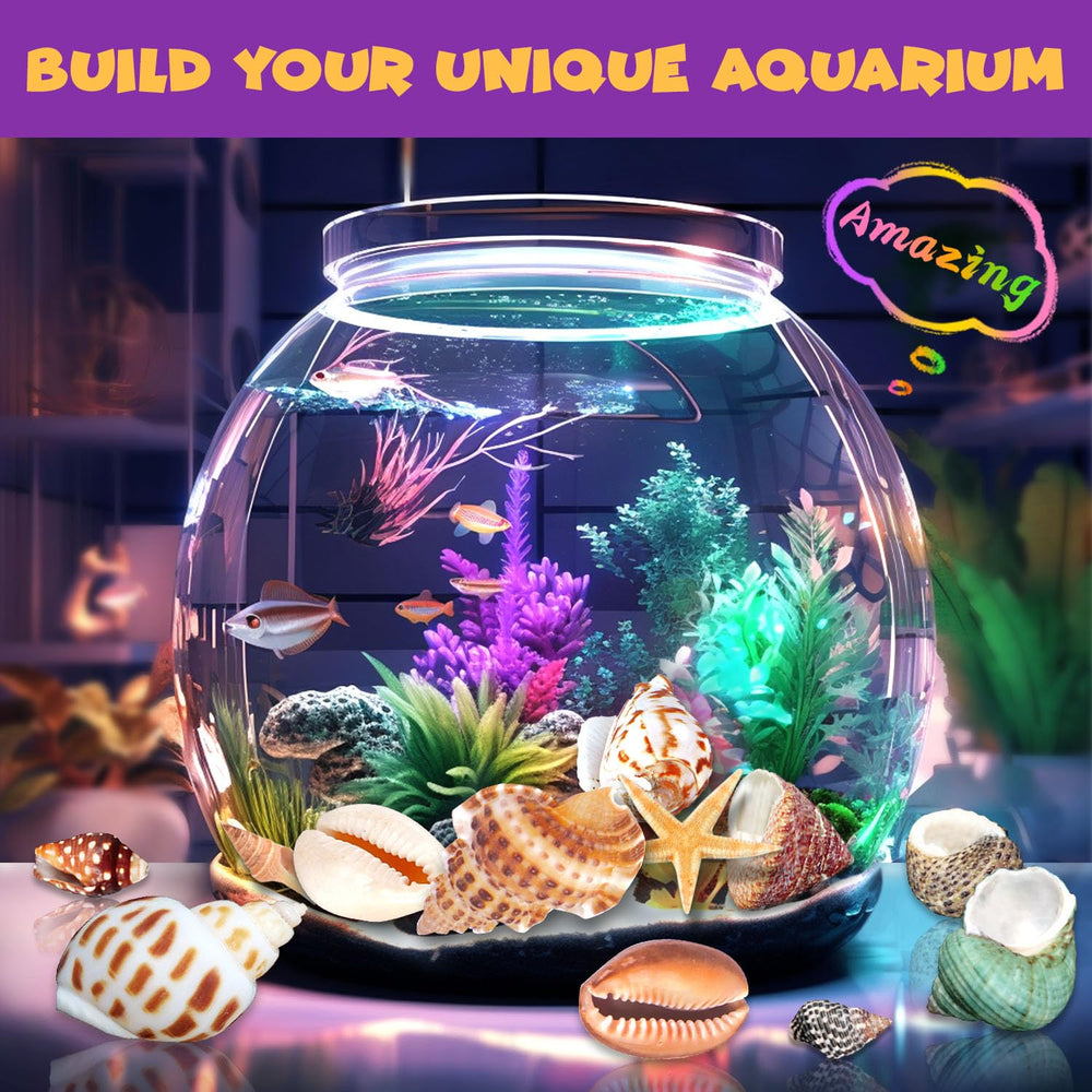 PIBEX Ocean Fossil Dig Kit learning guide supports marine science lessons.