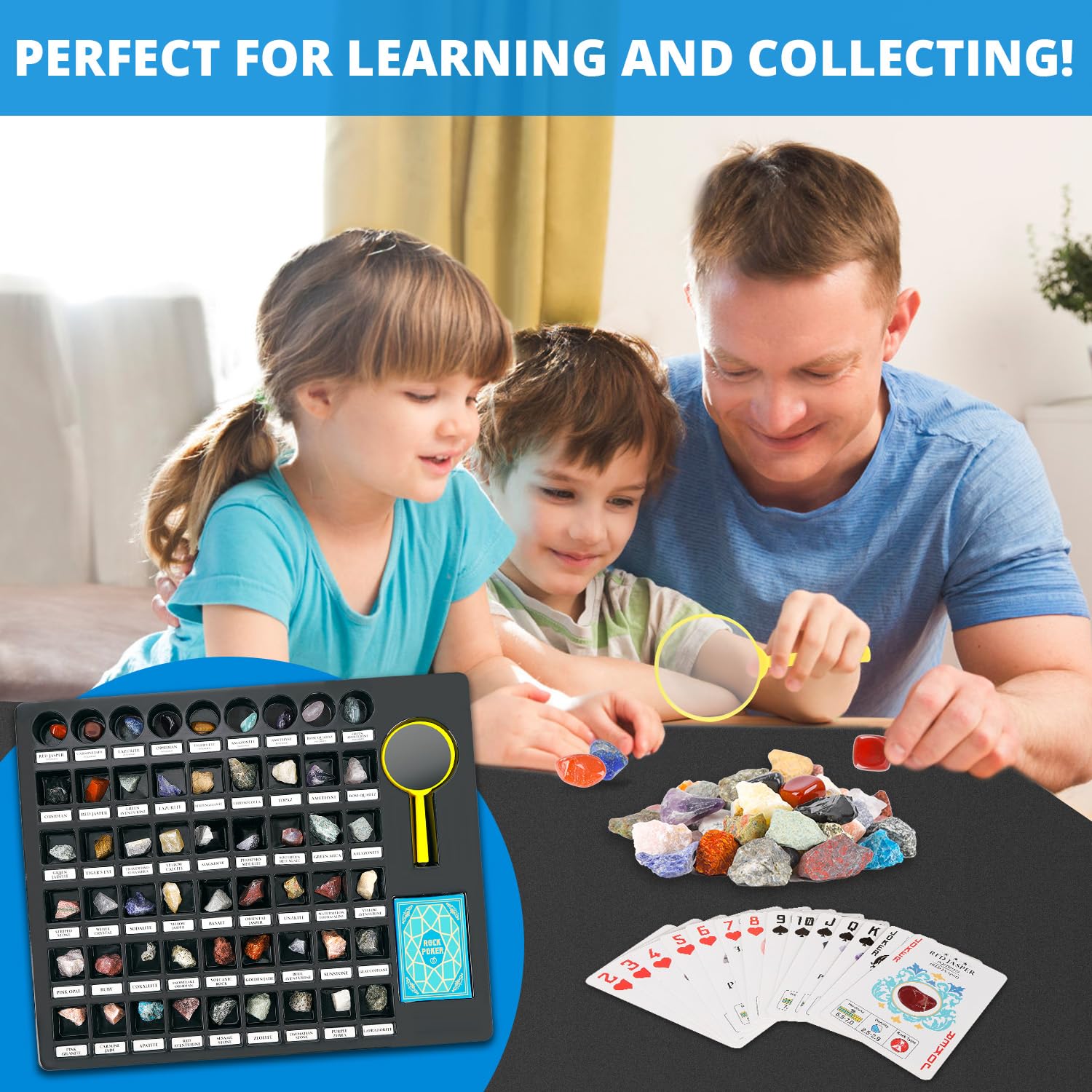 PIBEX Rock Collection storage case with transparent lid, easy viewing and organization.