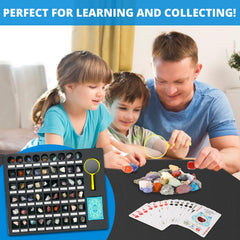 PIBEX Rock Collection storage case with transparent lid, easy viewing and organization.