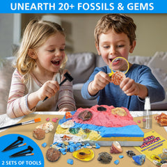 PIBEX Seashells and marine specimens showcase ocean life and fossil-grade treasures
