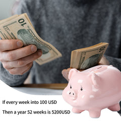 PIG WORLD piggy bank used as living room decor.
