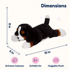 PixieCrush Bernese puppies hidden in tummy detail reveals playful surprise for storytelling.