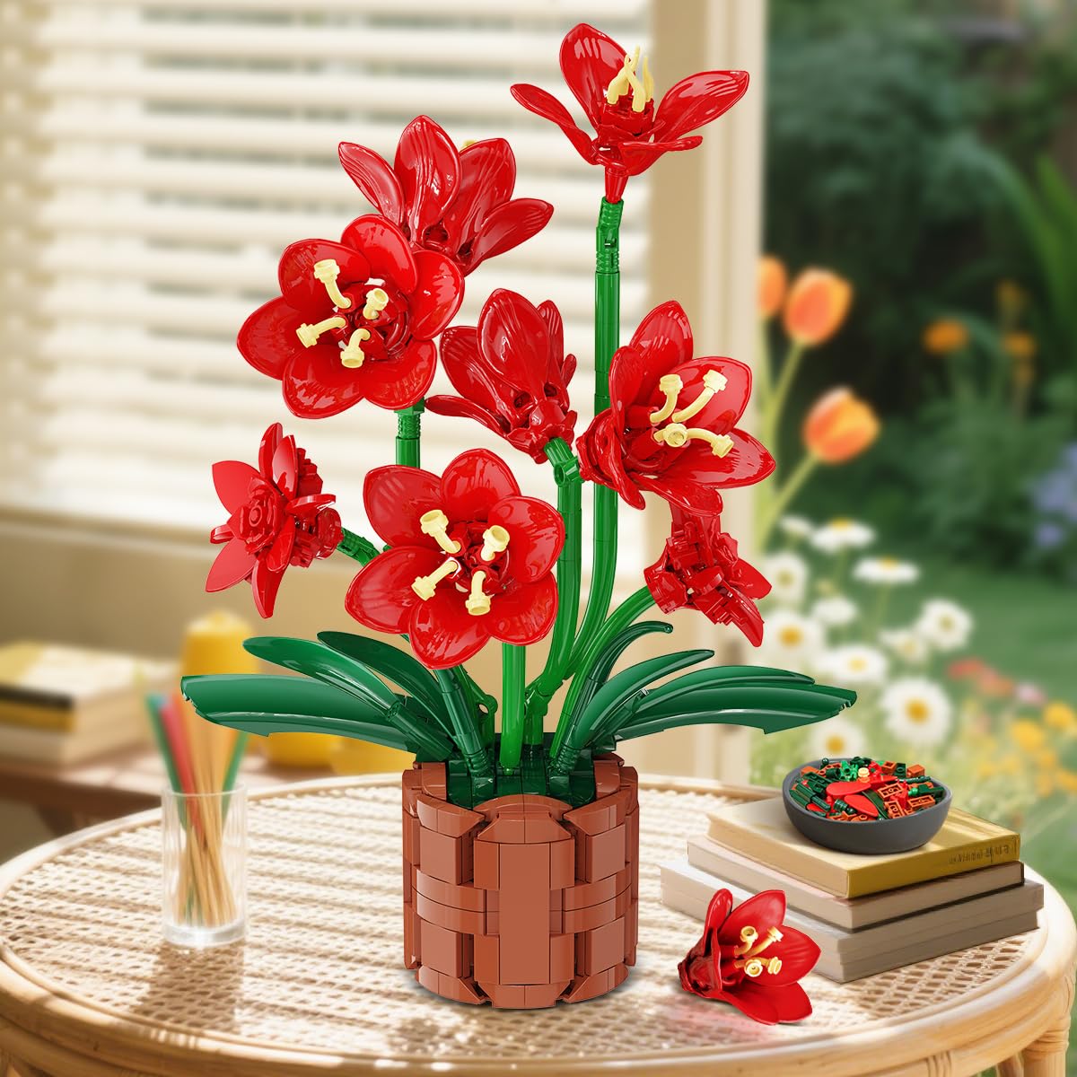 PLAXSOON amaryllis bonsai in pot display for stylish home centerpiece