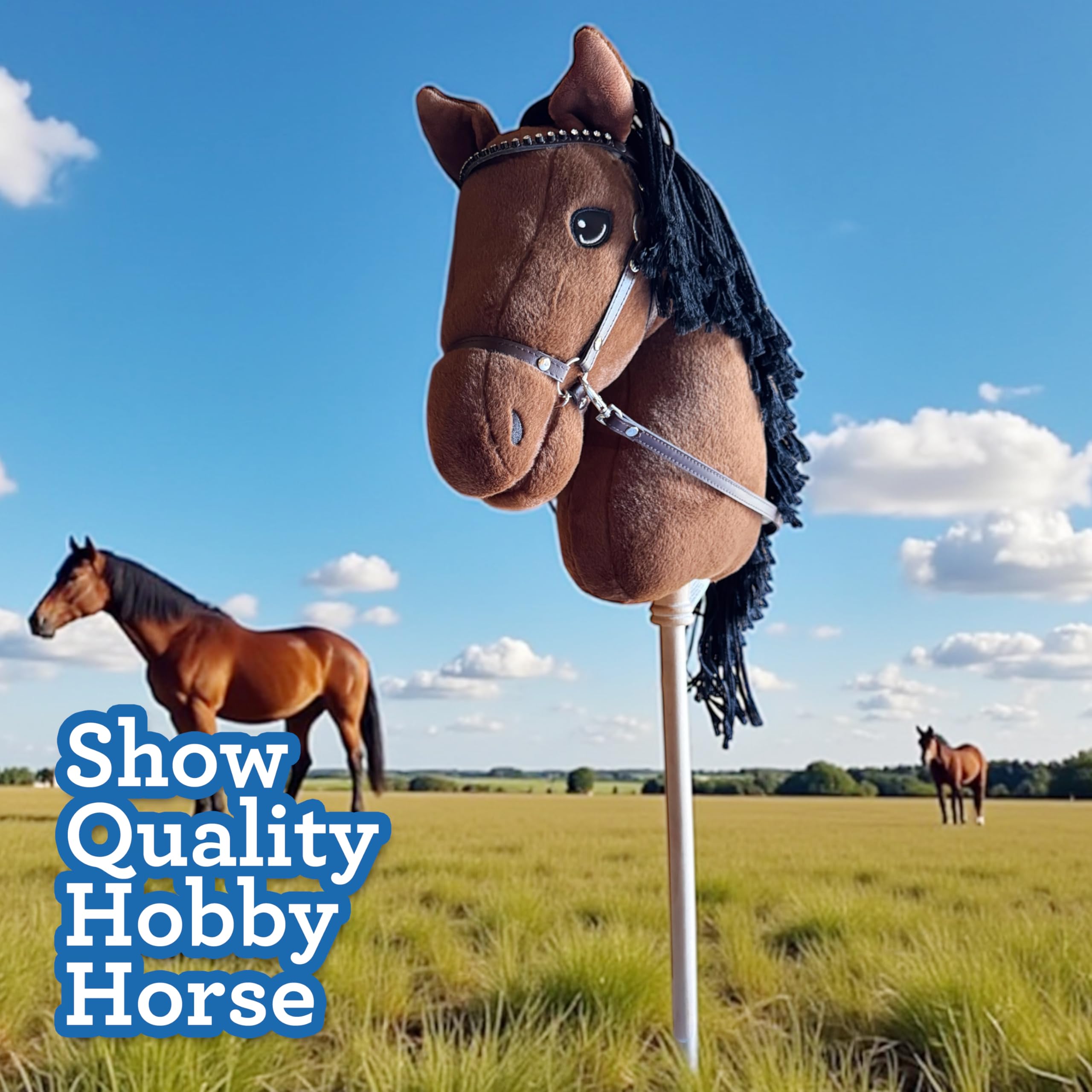 Playful Minds removable reins enable display or casual play.