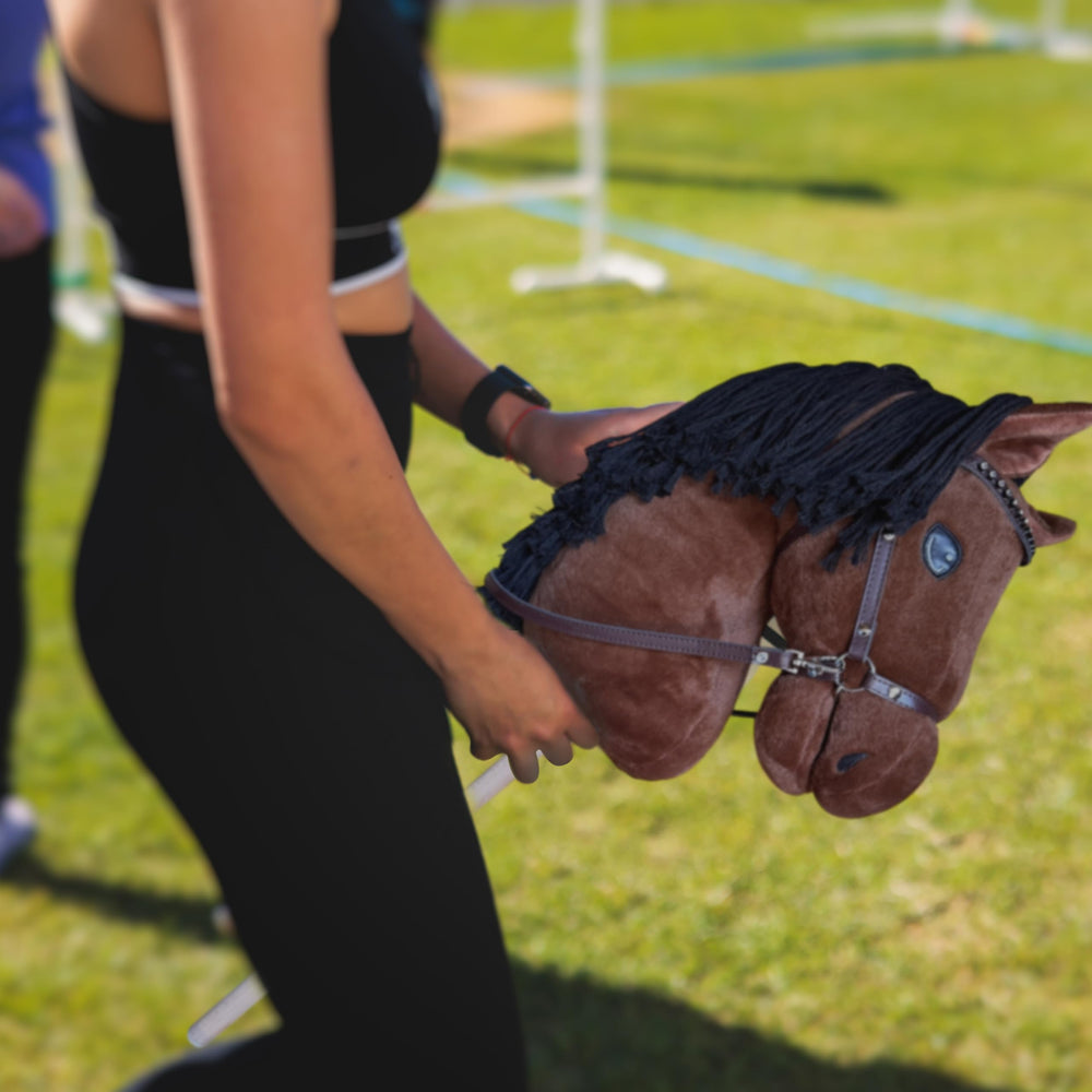 Playful Minds suitable for show-quality pretend tournaments and events.