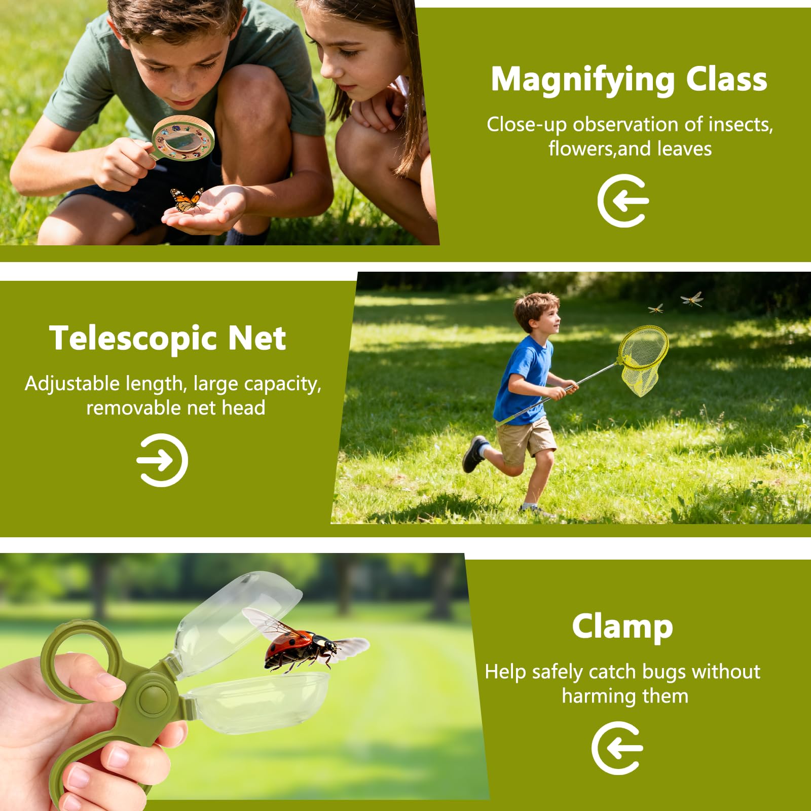 Plunack magnifying glass for close insect study.