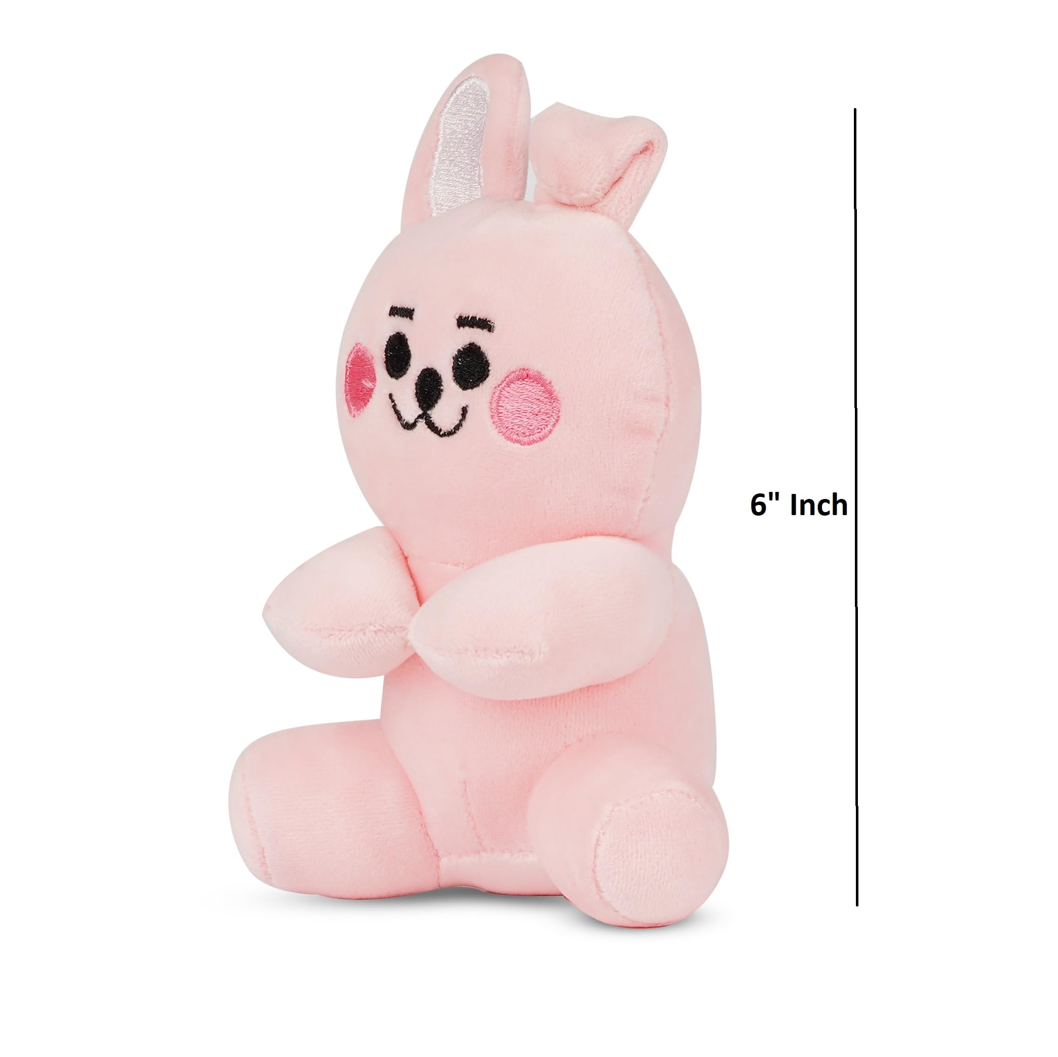 PLUSHIFY BTS member-5 plush as a keepsake