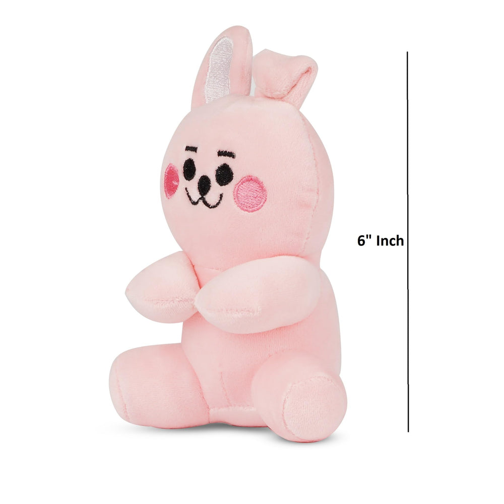 PLUSHIFY BTS member-5 plush as a keepsake