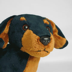 PMS Sausage Dachshund Plush Toy charming ornamental display piece.