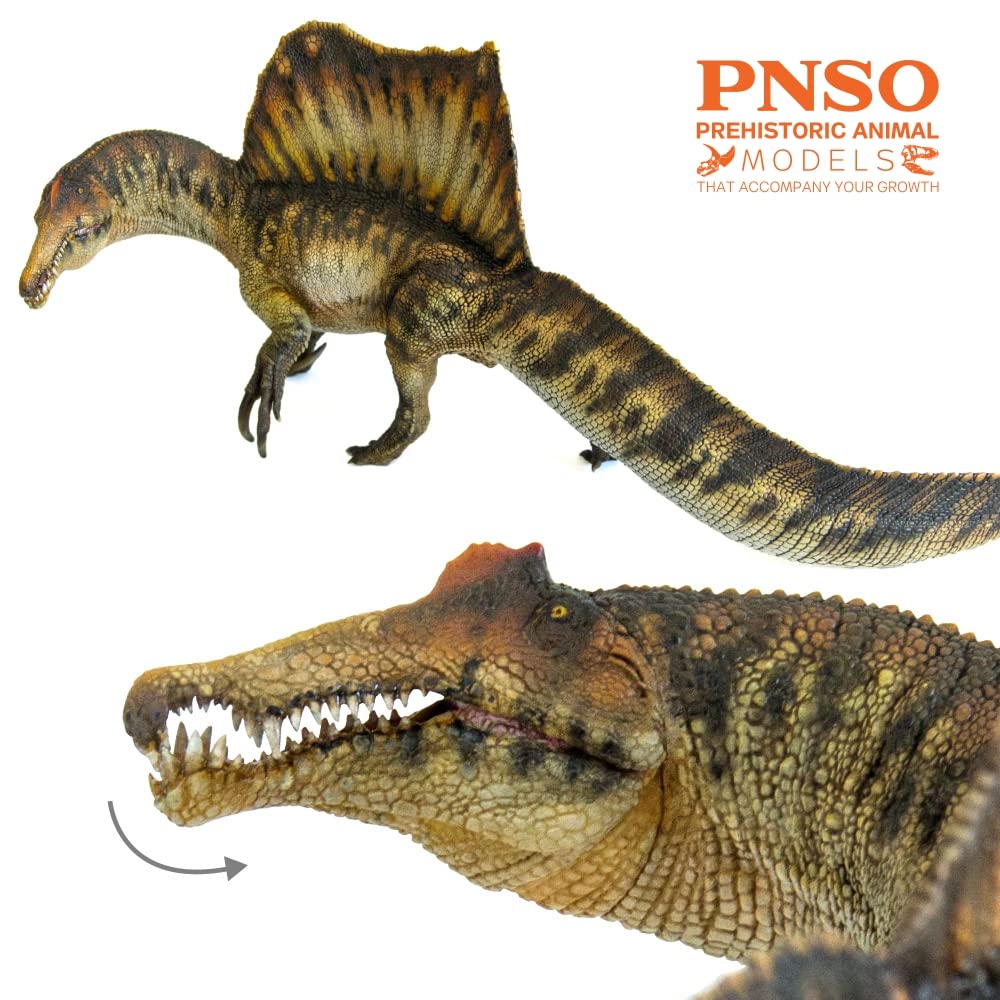 PNSO Spinosaurus 35 Essien eco-friendly materials for safe, responsible display and learning.