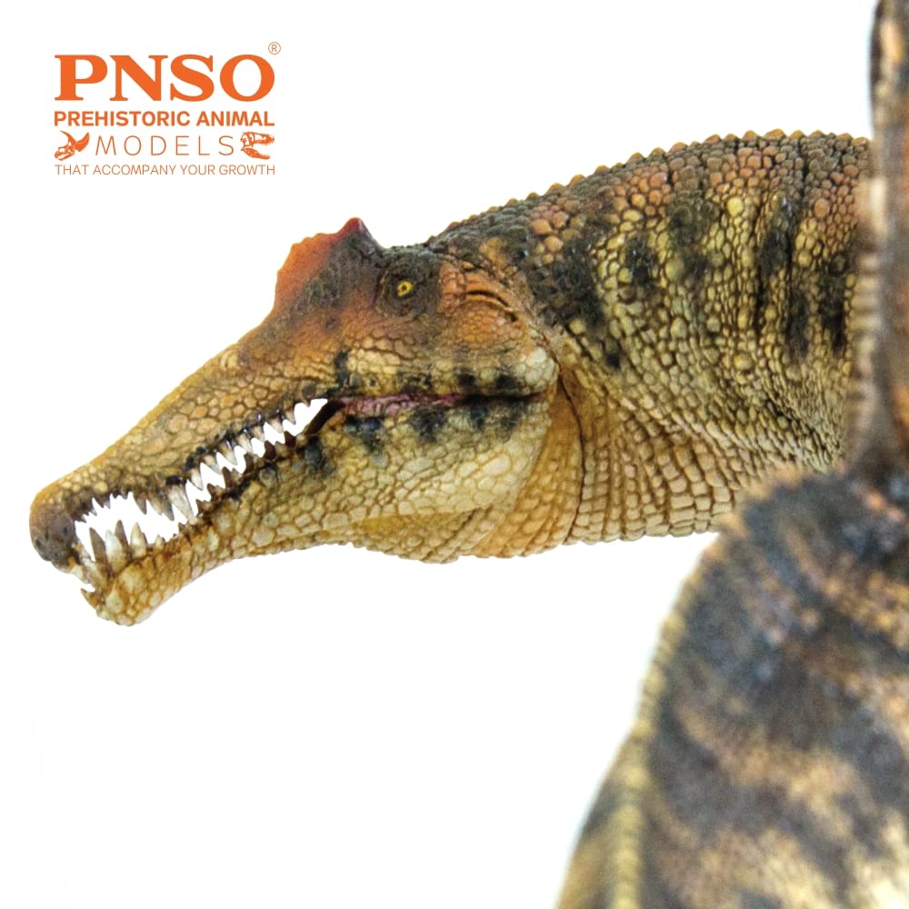 PNSO Spinosaurus 35 Essien educational display supports environmental awareness and science storytelling.