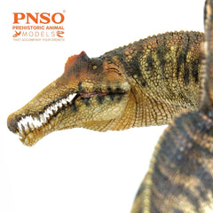 PNSO Spinosaurus 35 Essien educational display supports environmental awareness and science storytelling.