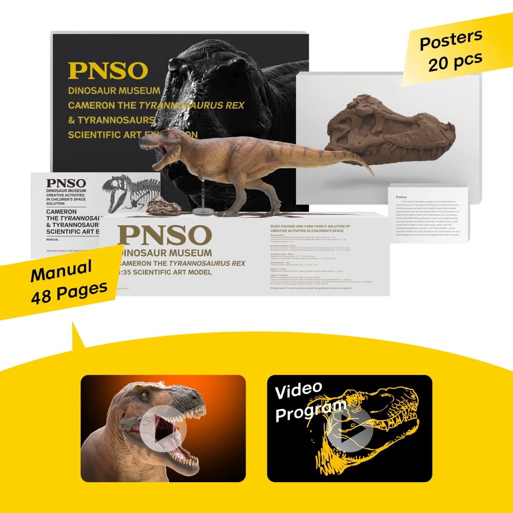 PNSO educational posters and manuals accompany the model for learning.