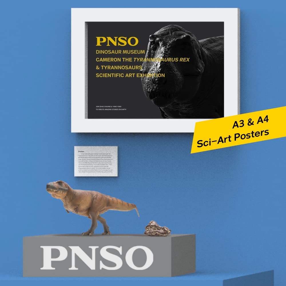 PNSO eco-friendly materials ensure a durable, safe display.