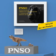 PNSO eco-friendly materials ensure a durable, safe display.