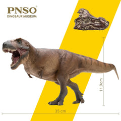 PNSO model features articulated jaw for realistic posing.