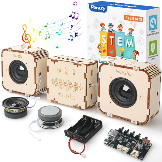 Poraxy laser-cut wooden puzzle chassis for a sturdy DIY speaker build.