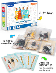 Poraxy STEM model car kit paintable designs allow personalized displays.