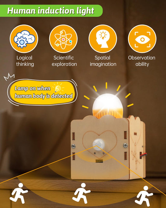 Poraxy wooden 3D puzzle kit; precise laser-cut parts for easy building.