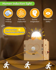 Poraxy wooden 3D puzzle kit; precise laser-cut parts for easy building.