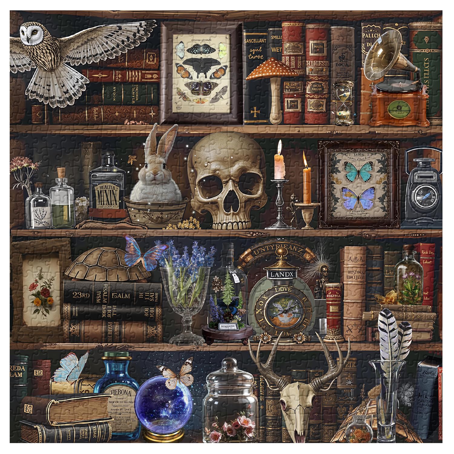 PPuzzling Magic skulls and books detail for a challenging session