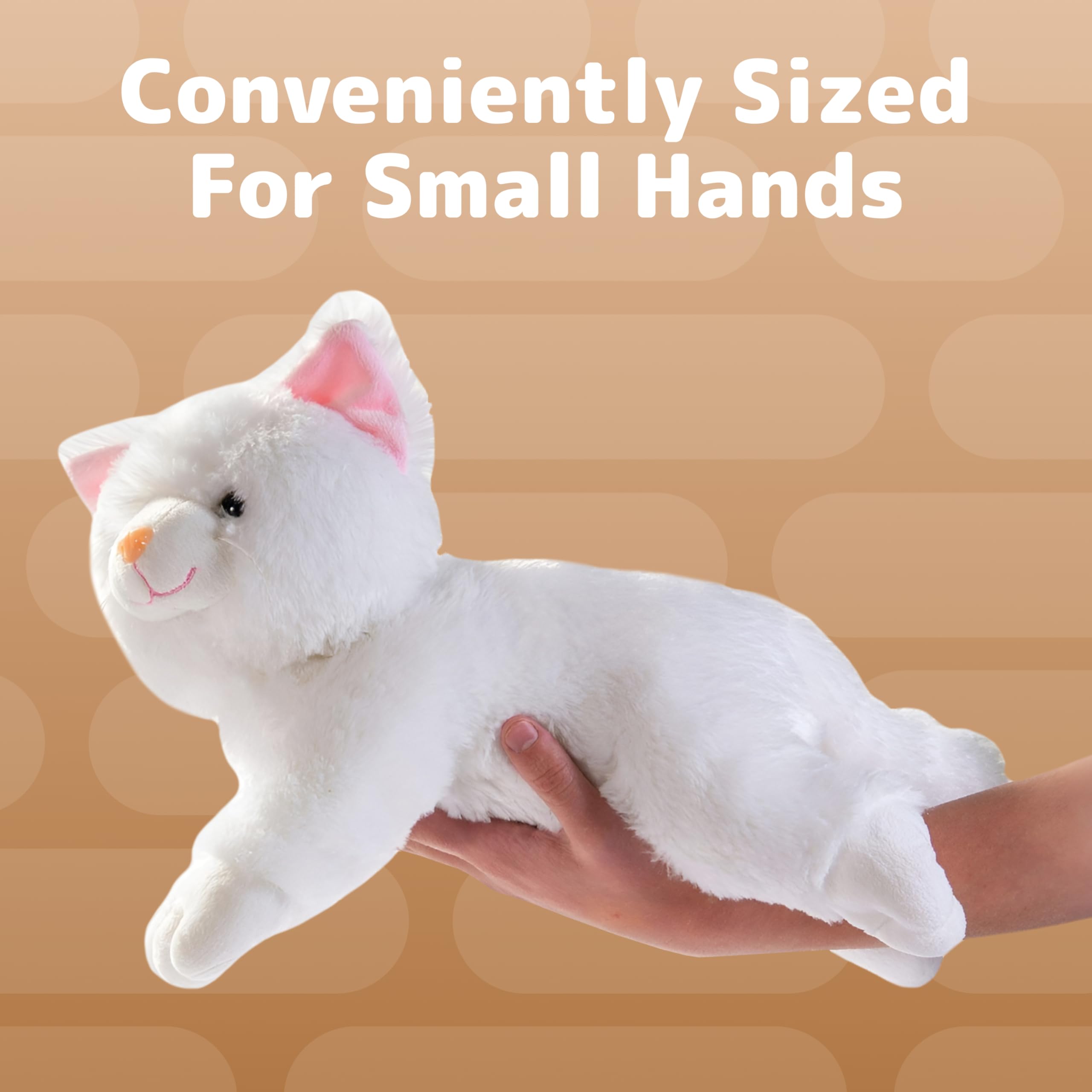 Gift-ready packaging highlights a delightful present for cat lovers.