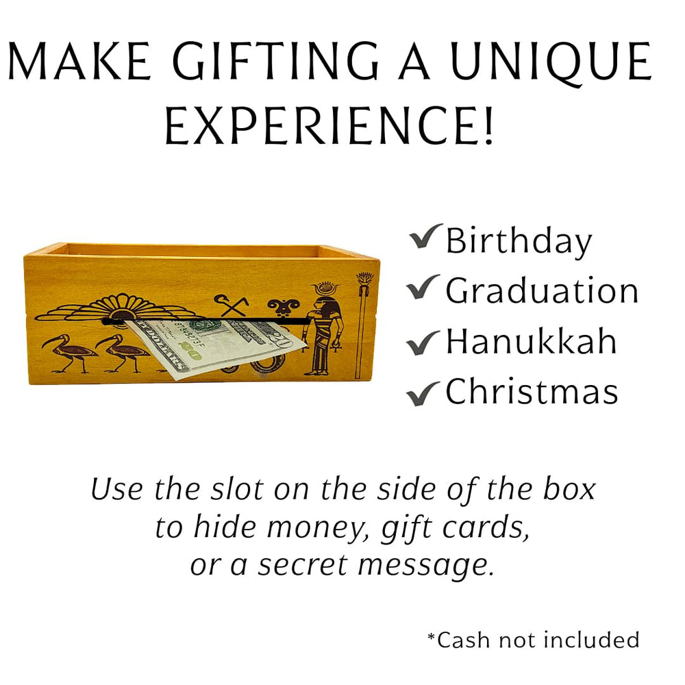 Project Genius Pharoahs Tomb box demonstrates sequential moves that reward careful thinking and patience.