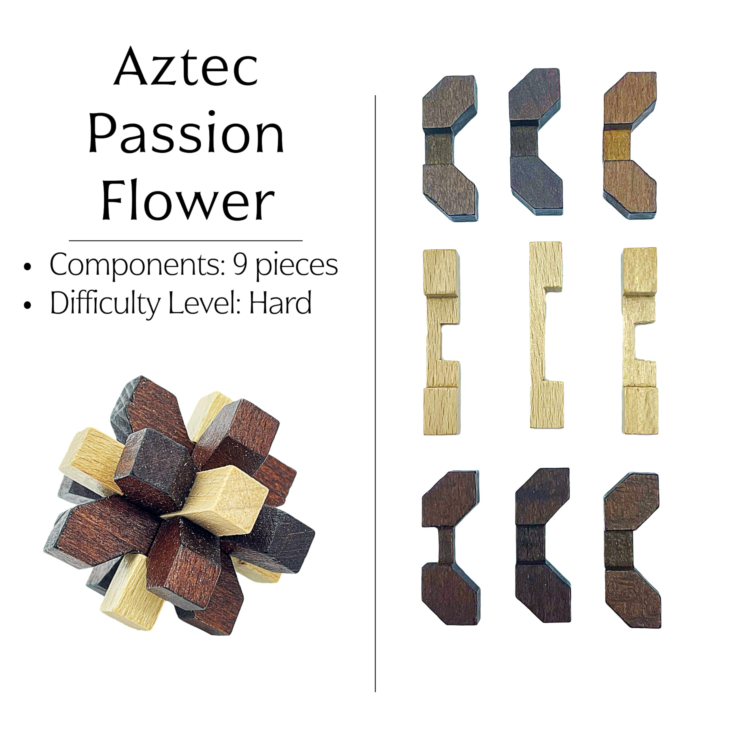 Project Genius wooden disassembly puzzle 1 with multi-step solution