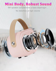 PRUNUS C20 mini karaoke machine gift-ready packaging for holidays
