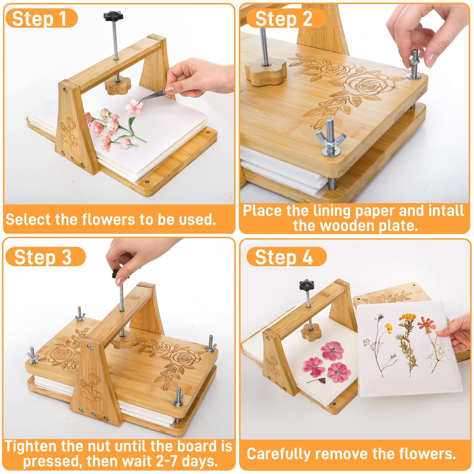 Pumtus press with drying plates and lining papers for organized drying