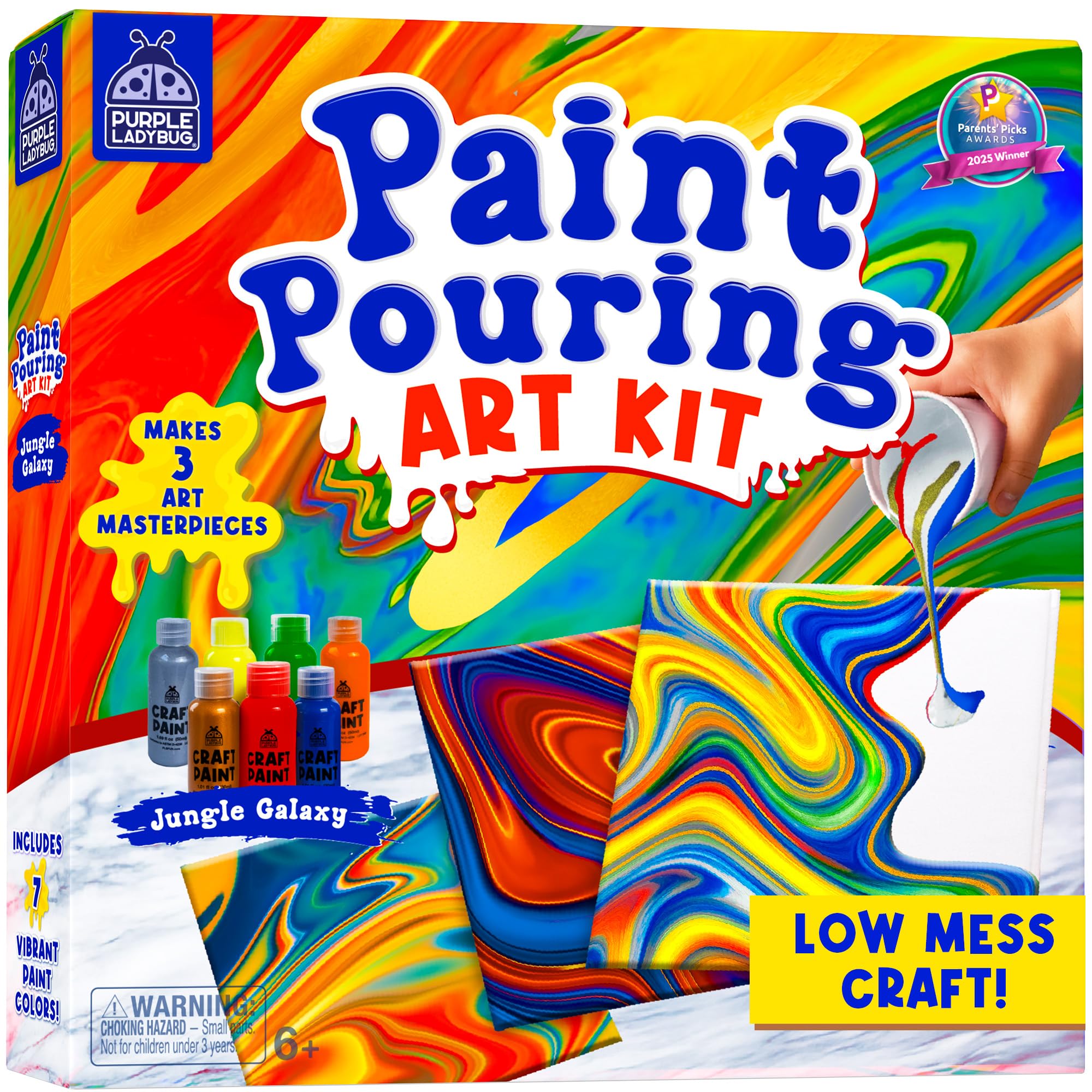 PURPLE LADYBUG Pouring Paint Art Kit shows three artworks layout for display inspiration.