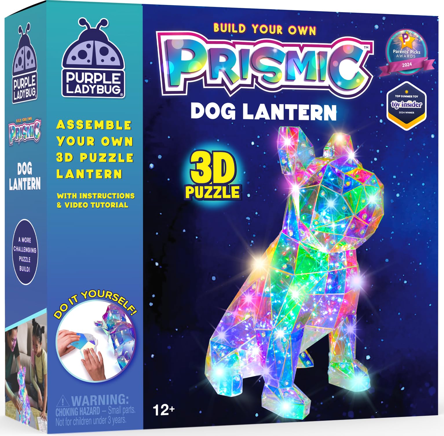 Purple Ladybug Prismic 3D dog lantern front view for STEM-inspired decor.