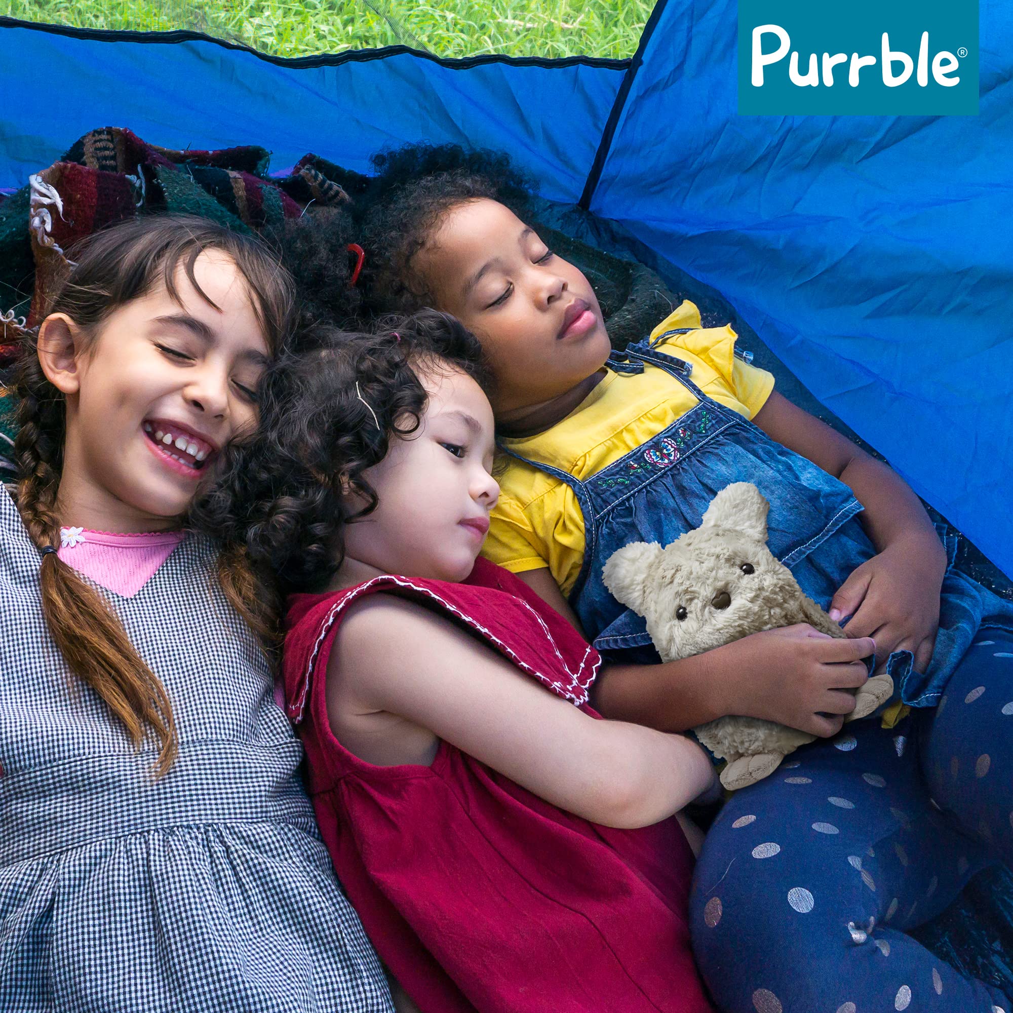 Purrble Companion design blends robotics and psychology for calming play.