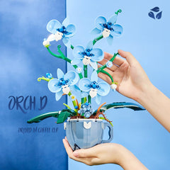 QFJ Gift-ready orchid kit for special occasions