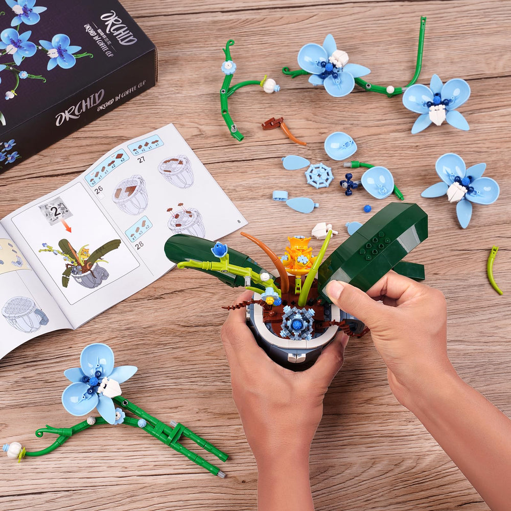 QFJ Blue Orchid on living room shelf elevates decor