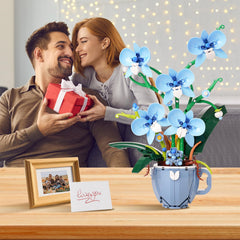 QFJ Orchid display on office desk adds calming nature