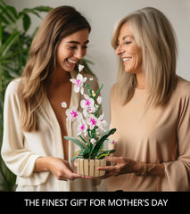 QLT Icons Orchid Building Set living room display enhances modern interiors
