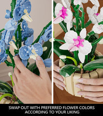 QLT Icons Orchid Building Set root detail emphasizes realistic botanical texture